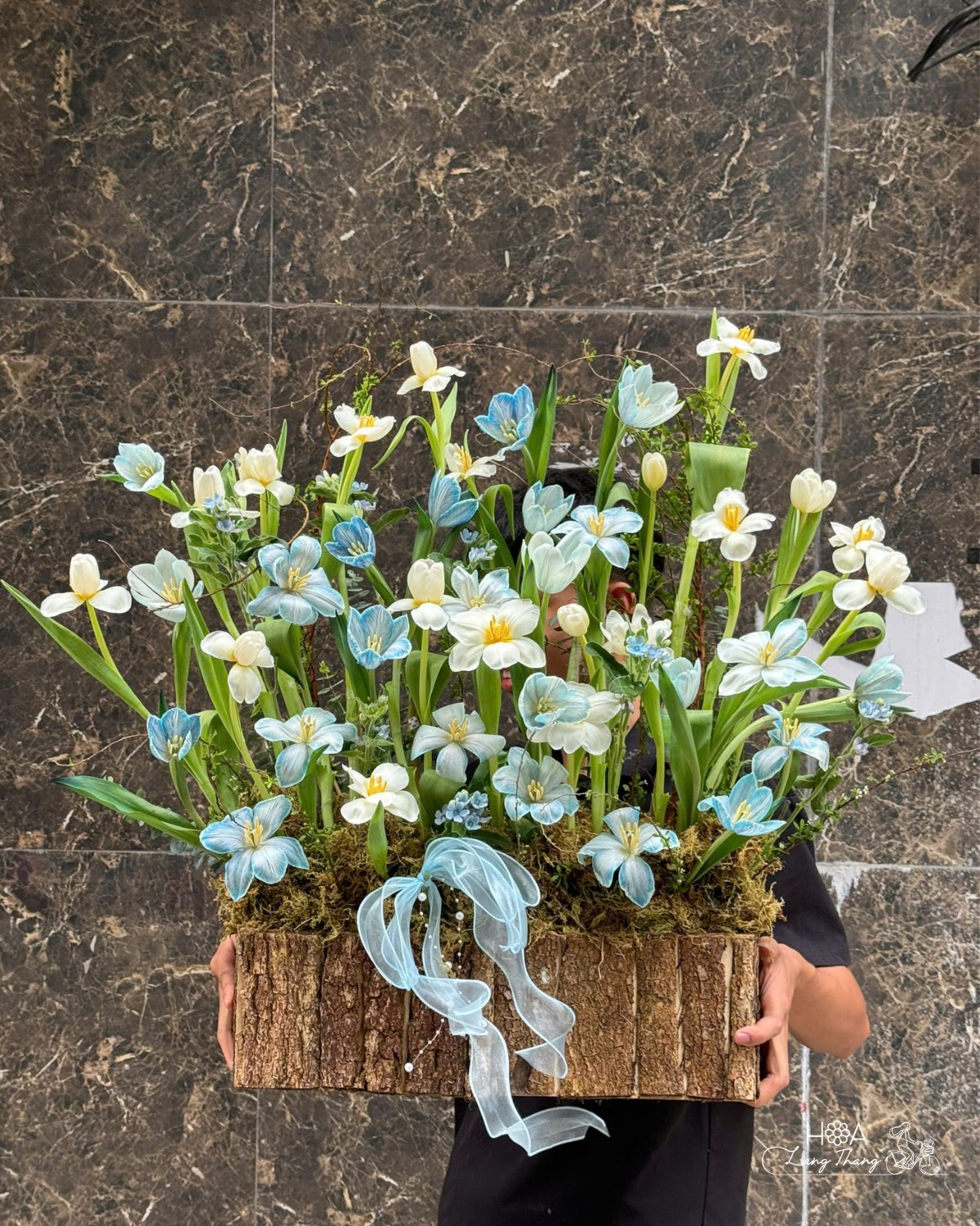 Celeste Garden Box - Hoa Anemone Màu Đỏ Nhập Khẩu Độc Lạ – Vẻ Đẹp Kiêu Kỳ Từ Châu Âu | Hoa Lang Thang