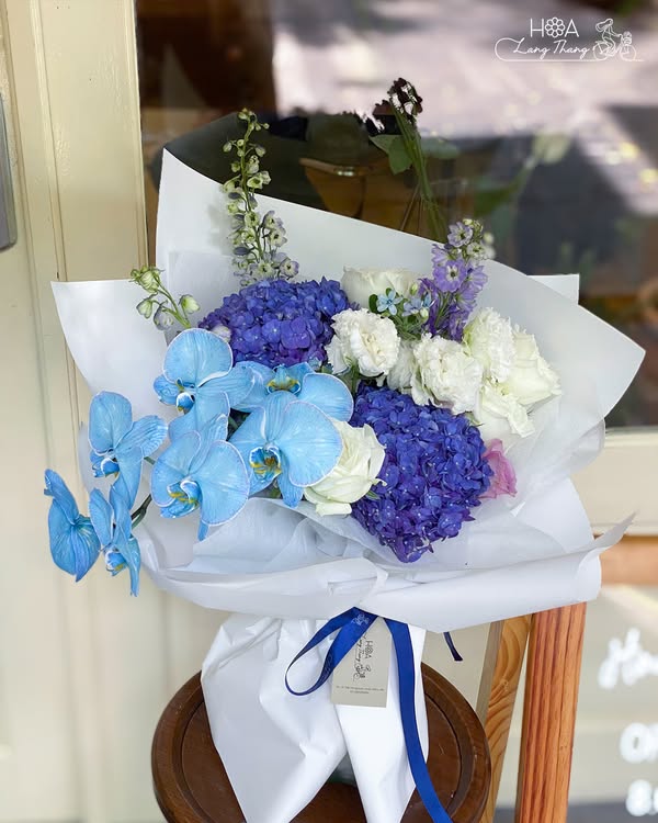 Azzurro Bloom — Hoa Lang Thang