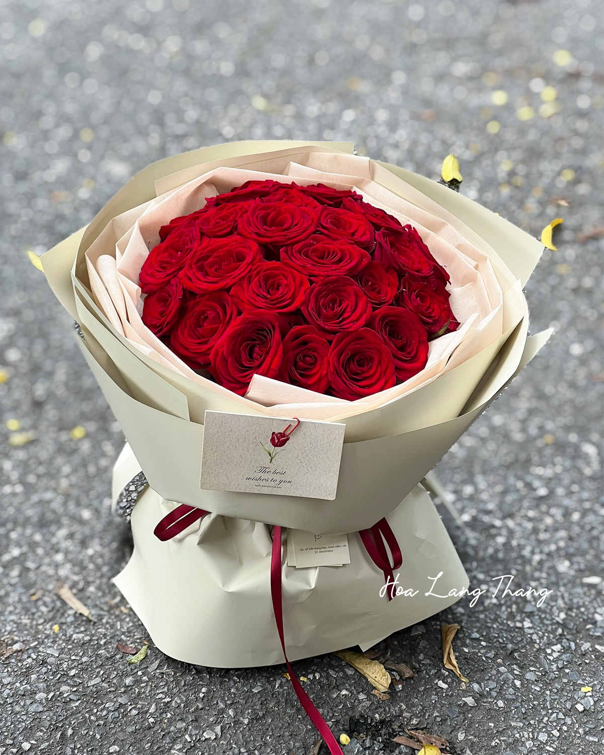 Rubino Rose — Hoa Lang Thang