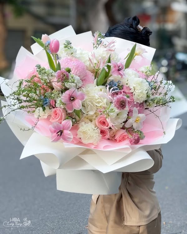 Aura Blossom - hoa tulip ha lan gia bao nhieu | Hoa Lang Thang