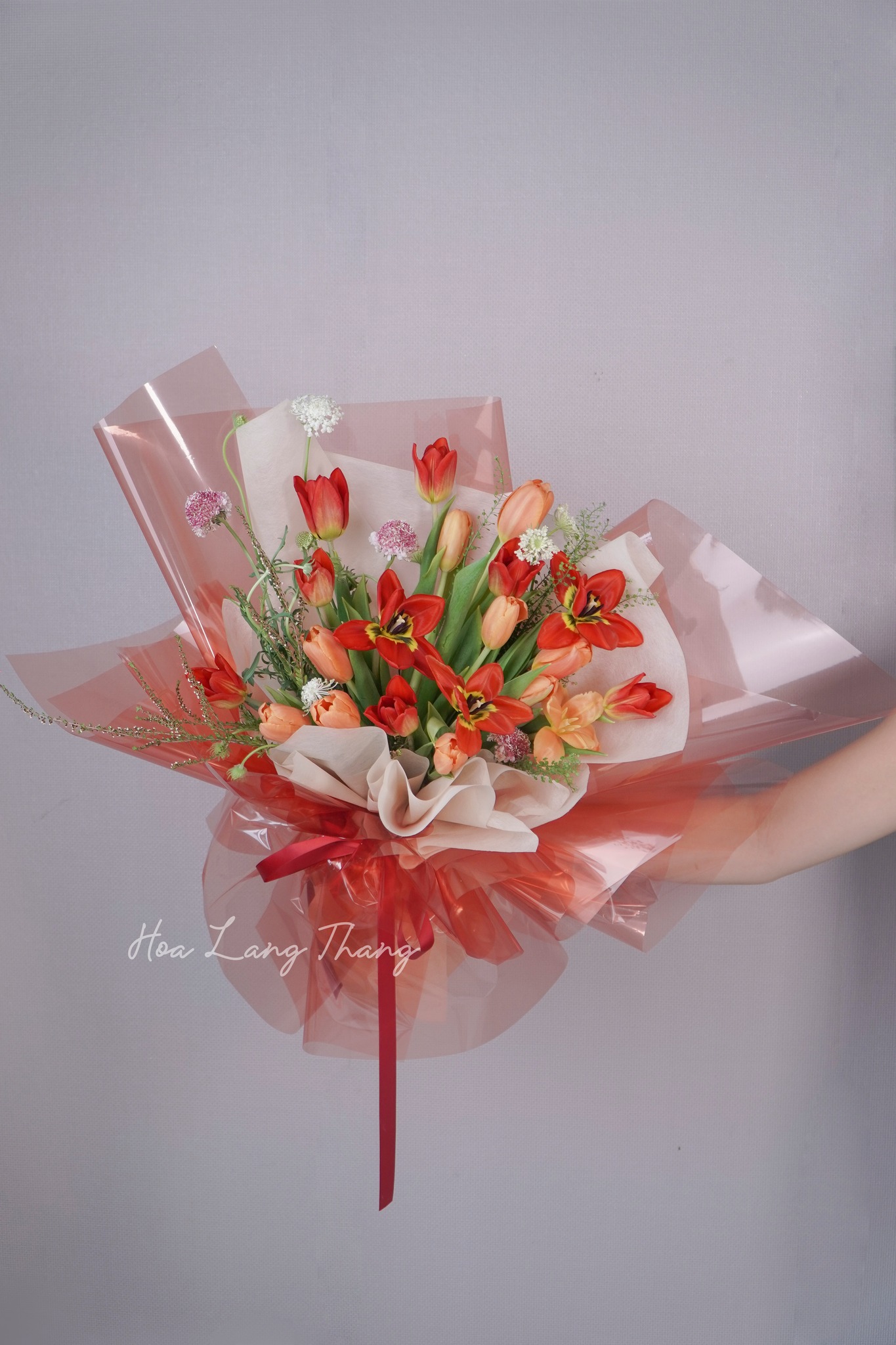 Solara Tulip - <a href=