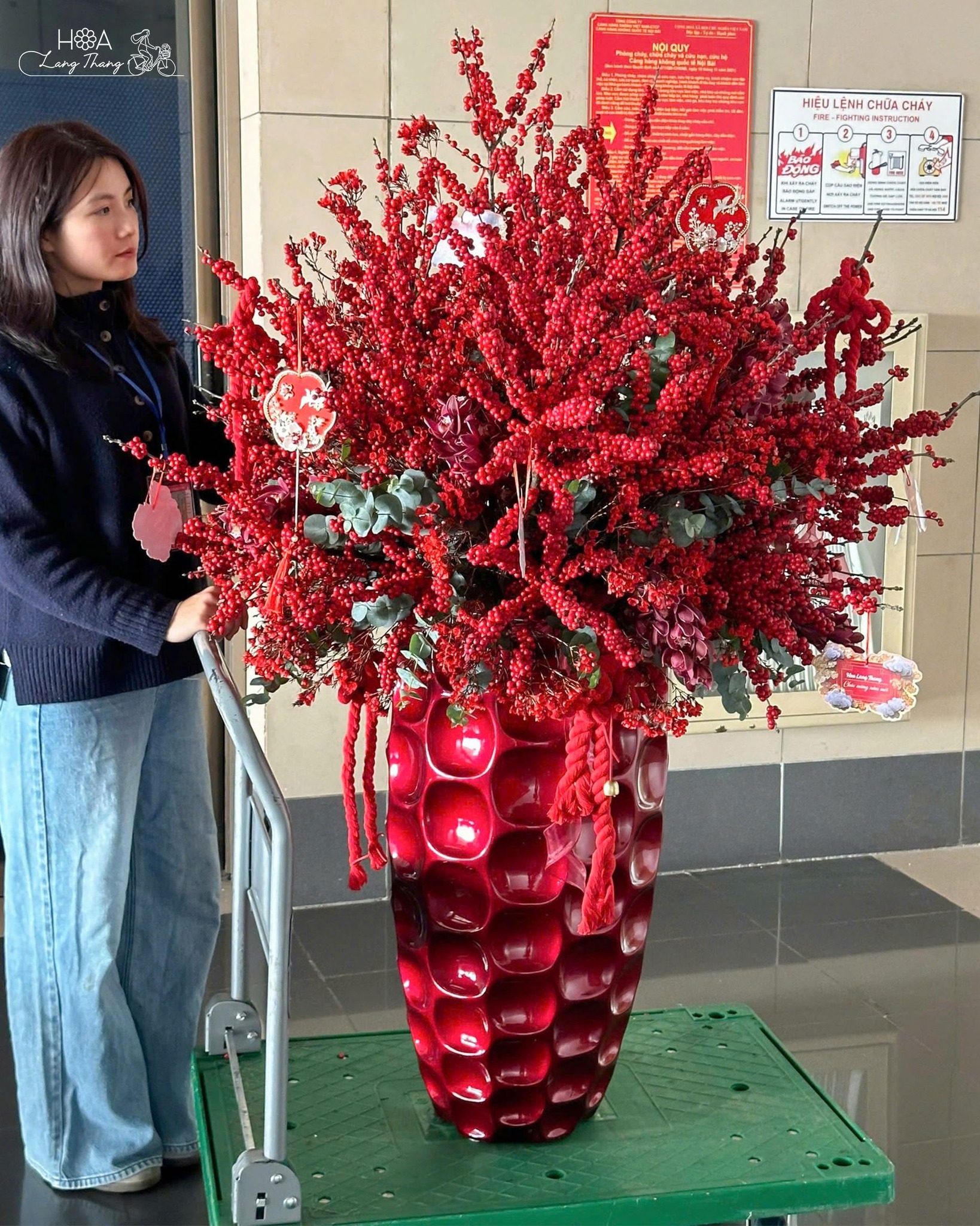 Đông Châu Phúc Lộc - Hoa Mimosa Nhập Khẩu Mùa Xuân – Sắc Vàng Tinh Khôi Từ Nước Pháp | Hoa Lang Thang