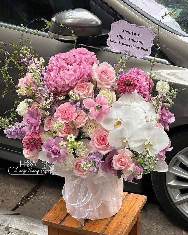 Éclat Floral - Hoa Phong Lan Dendrobium Nhập Khẩu – Vẻ Đẹp Kiêu Sa Từ Những Vườn Lan Danh Tiếng Thế Giới | Hoa Lang Thang