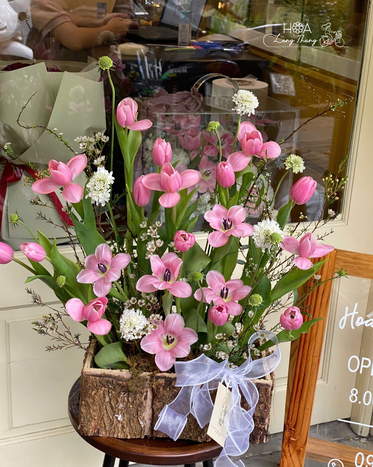 Celestine Tulip | Hoa Lang Thang