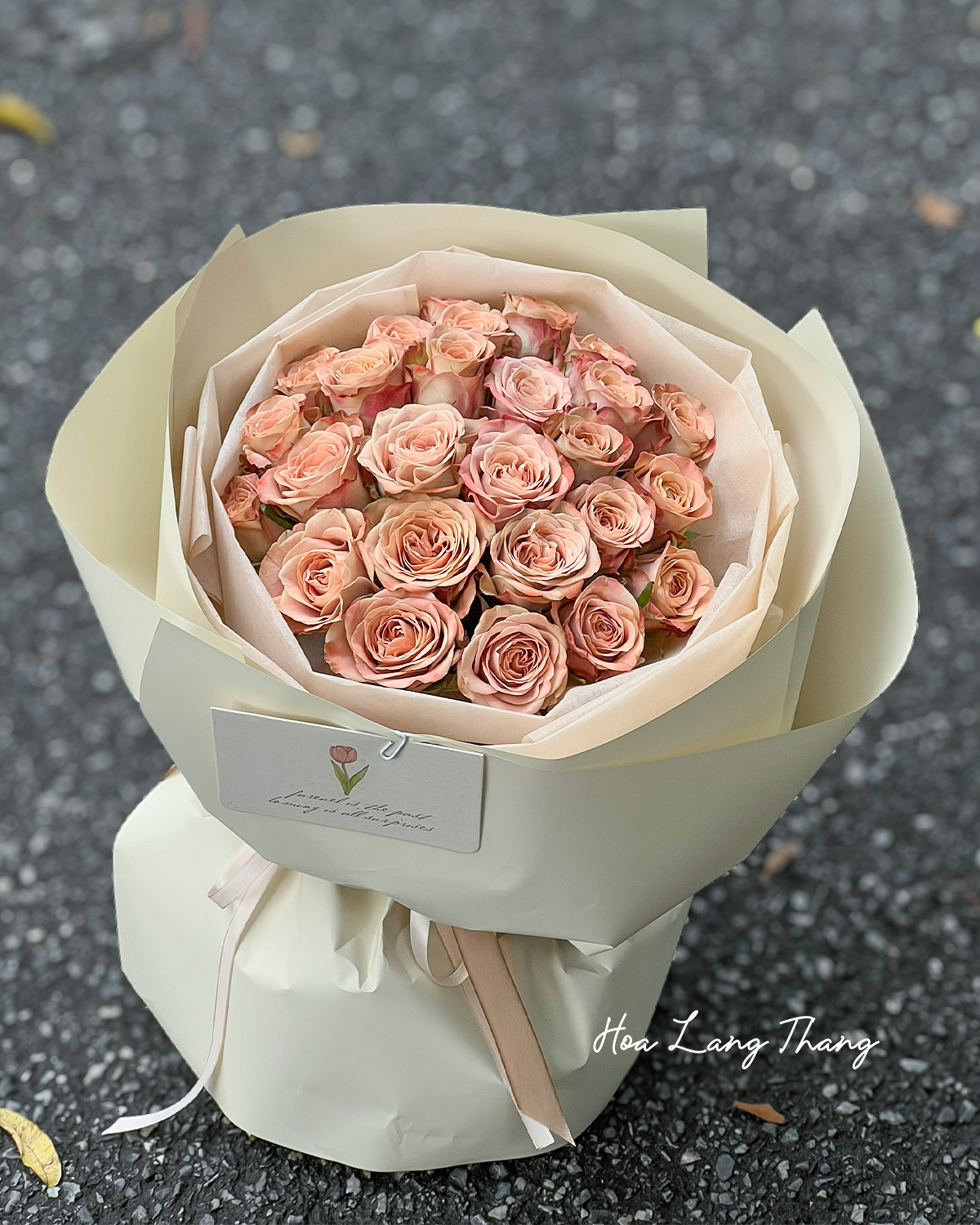 Ambre Rosé — Hoa Lang Thang