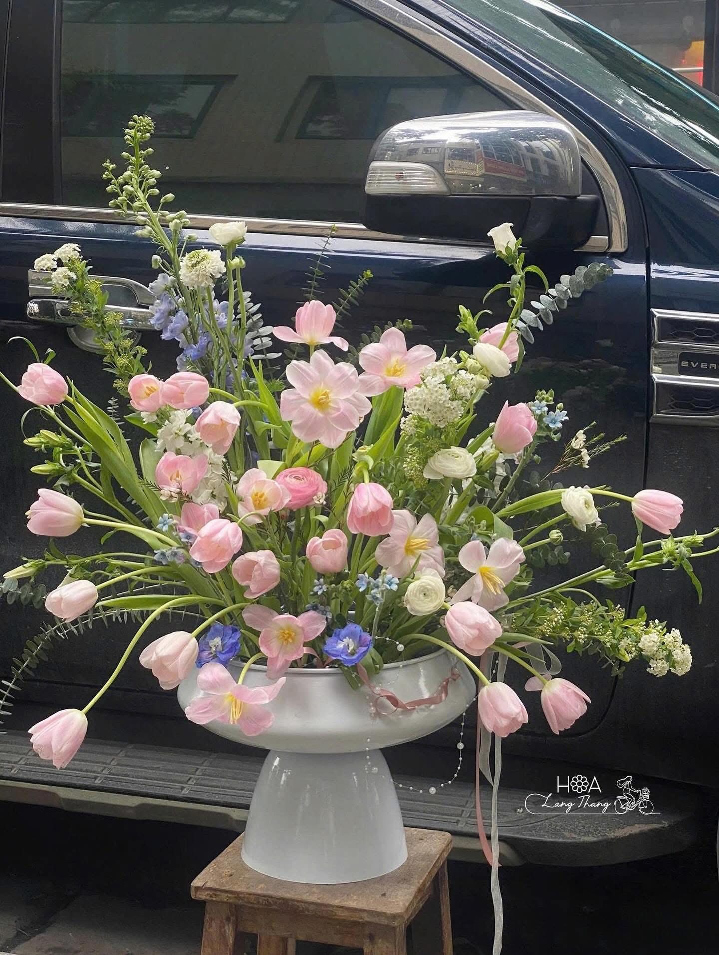 Hồng Tulip Mơ Màng - Hoa Mimosa Nhập Khẩu Mùa Xuân – Sắc Vàng Tinh Khôi Từ Nước Pháp | Hoa Lang Thang