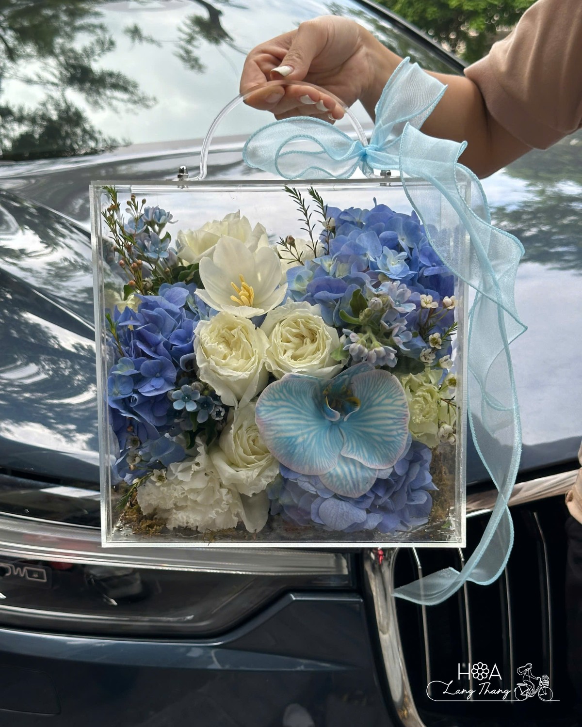 Celeste Box - Cách Giữ Hoa Cẩm Tú Cầu Tươi Lâu — Bí Quyết Từ Florist Hà Nội | Hoa Lang Thang