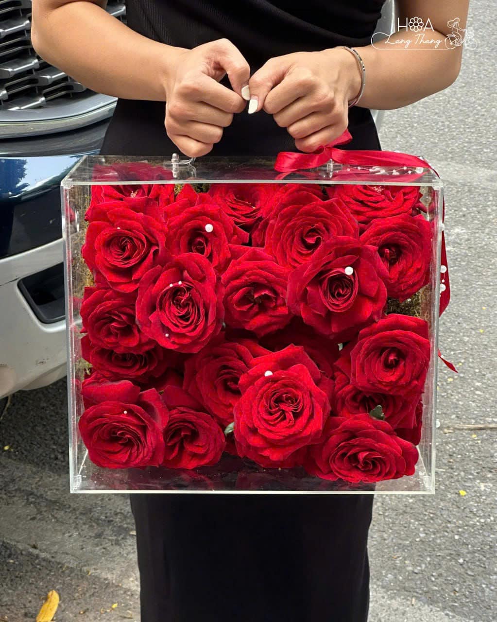 Rouge Luxe - Hoa Lan Hồ Điệp Tím 15 Cành Cao Cấp – Vẻ Đẹp Sang Trọng Từ Hoa Lang Thang | Hoa Lang Thang