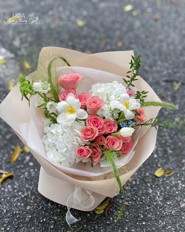 Aura Blush — Hoa Lang Thang