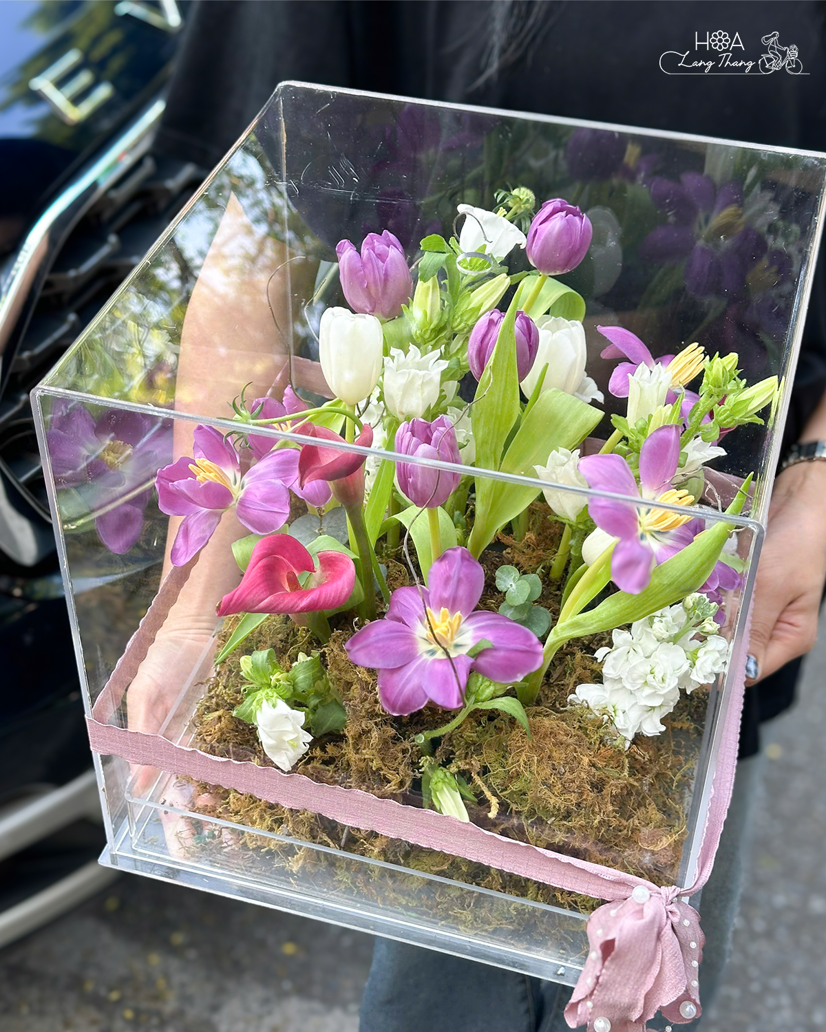 Amethyst Garden - Mua Hoa Tulip Hà Lan Ở Đâu Hà Nội — Địa Chỉ Uy Tín Cho Người Sành Hoa | Hoa Lang Thang