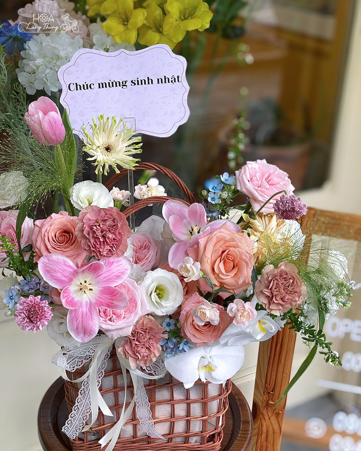 Serenata Basket - Lan Hồ Điệp Đỏ Tặng Tết — Ý Nghĩa & Cách Chọn Chậu Đẹp Nhất | Hoa Lang Thang