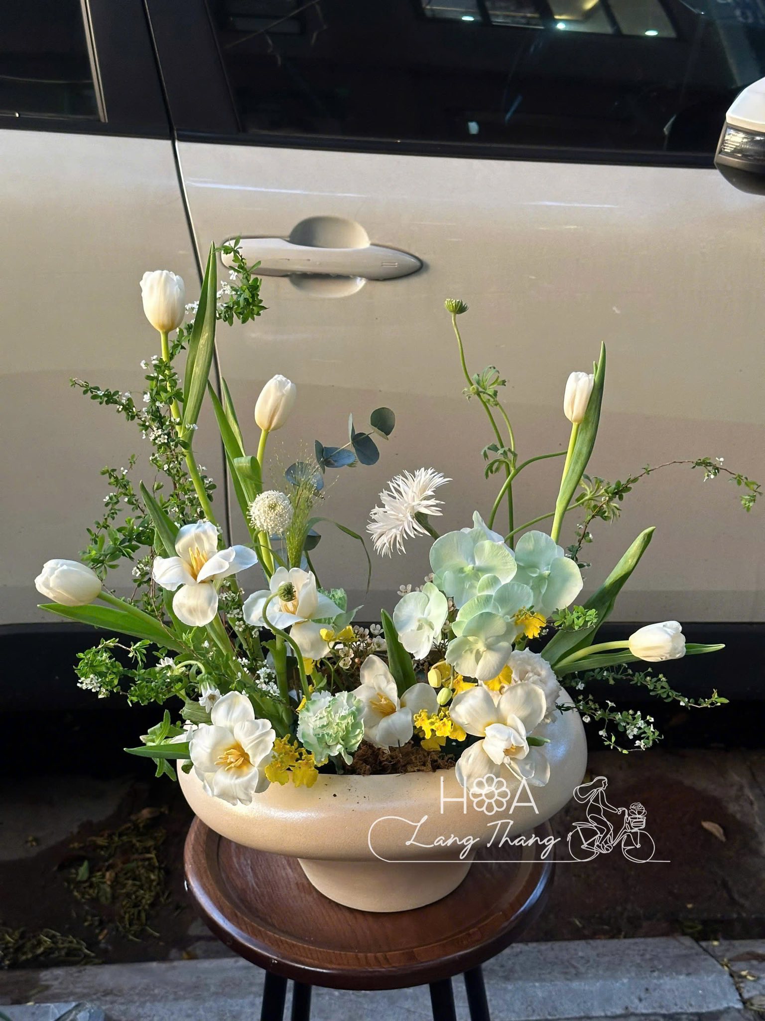 Celeste Garden - Lan Hồ Điệp Nhật Bản Nhập Khẩu Chính Hãng — Vẻ Đẹp Tinh Tế Từ Xứ Phù Tang | Hoa Lang Thang