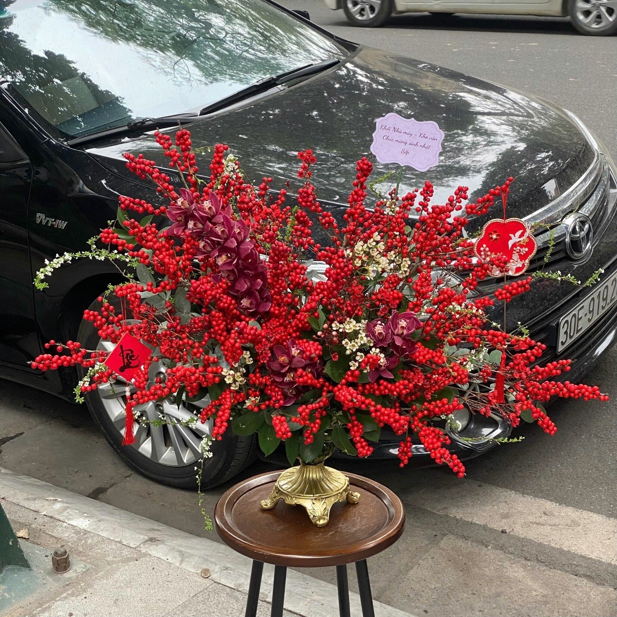 Sắc Đỏ An Khang - Hoa Lan Hồ Điệp Tím 15 Cành Cao Cấp – Vẻ Đẹp Sang Trọng Từ Hoa Lang Thang | Hoa Lang Thang