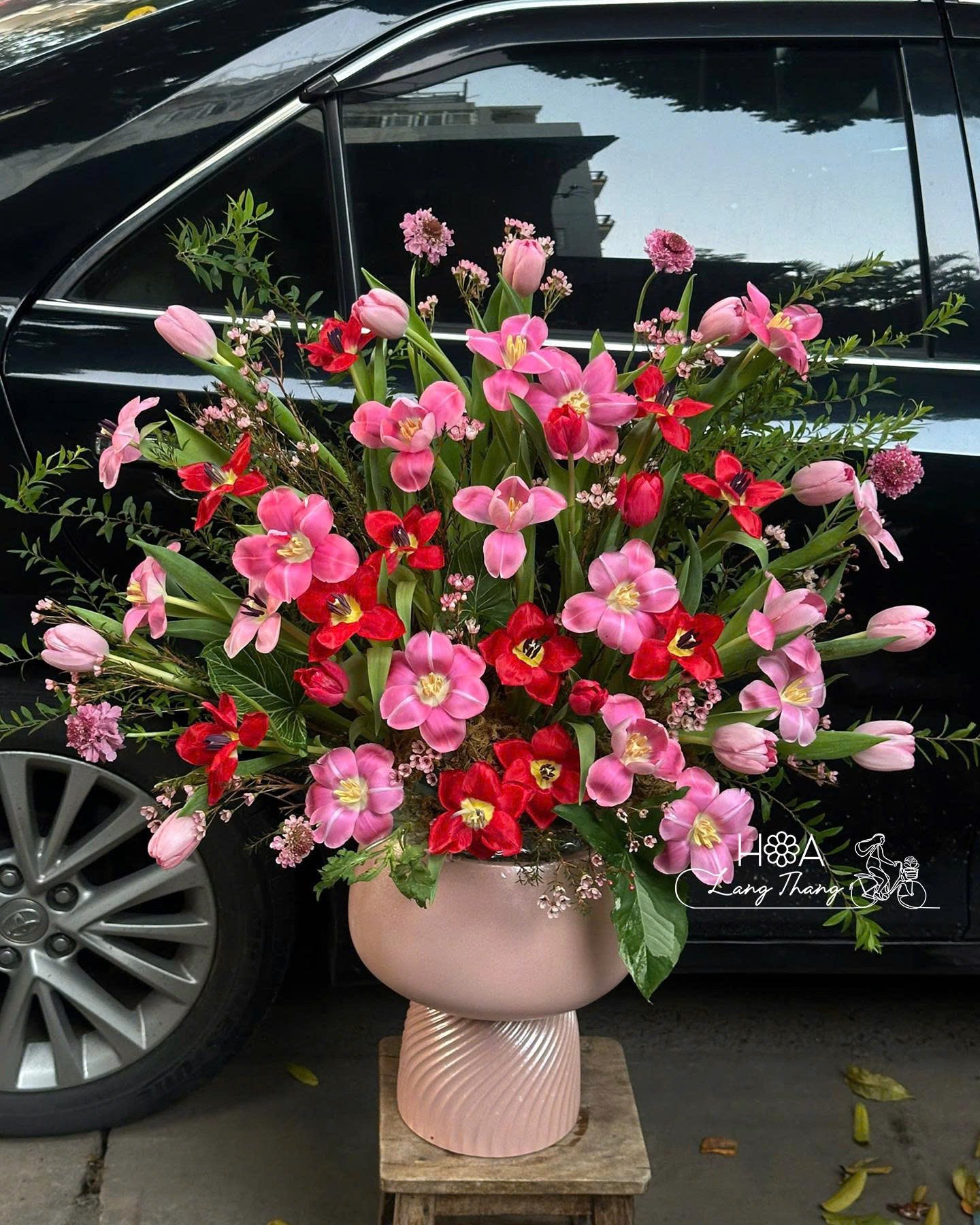 Sắc Hồng Tulip - Hoa Tặng Khai Trương Chi Nhánh Ngân Hàng — Sang Trọng, Đẳng Cấp Tài Chính | Hoa Lang Thang