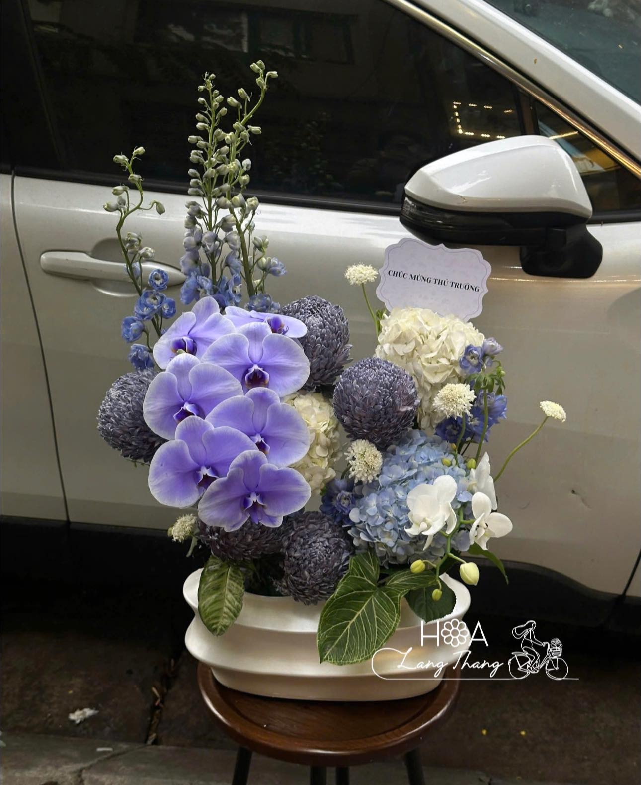 Celeste Orchidée - Lẵng Hoa Tặng Đối Tác Nhật Hàn – Tinh Tế Đúng Văn Hóa, Đẳng Cấp Đúng Tầm | Hoa Lang Thang