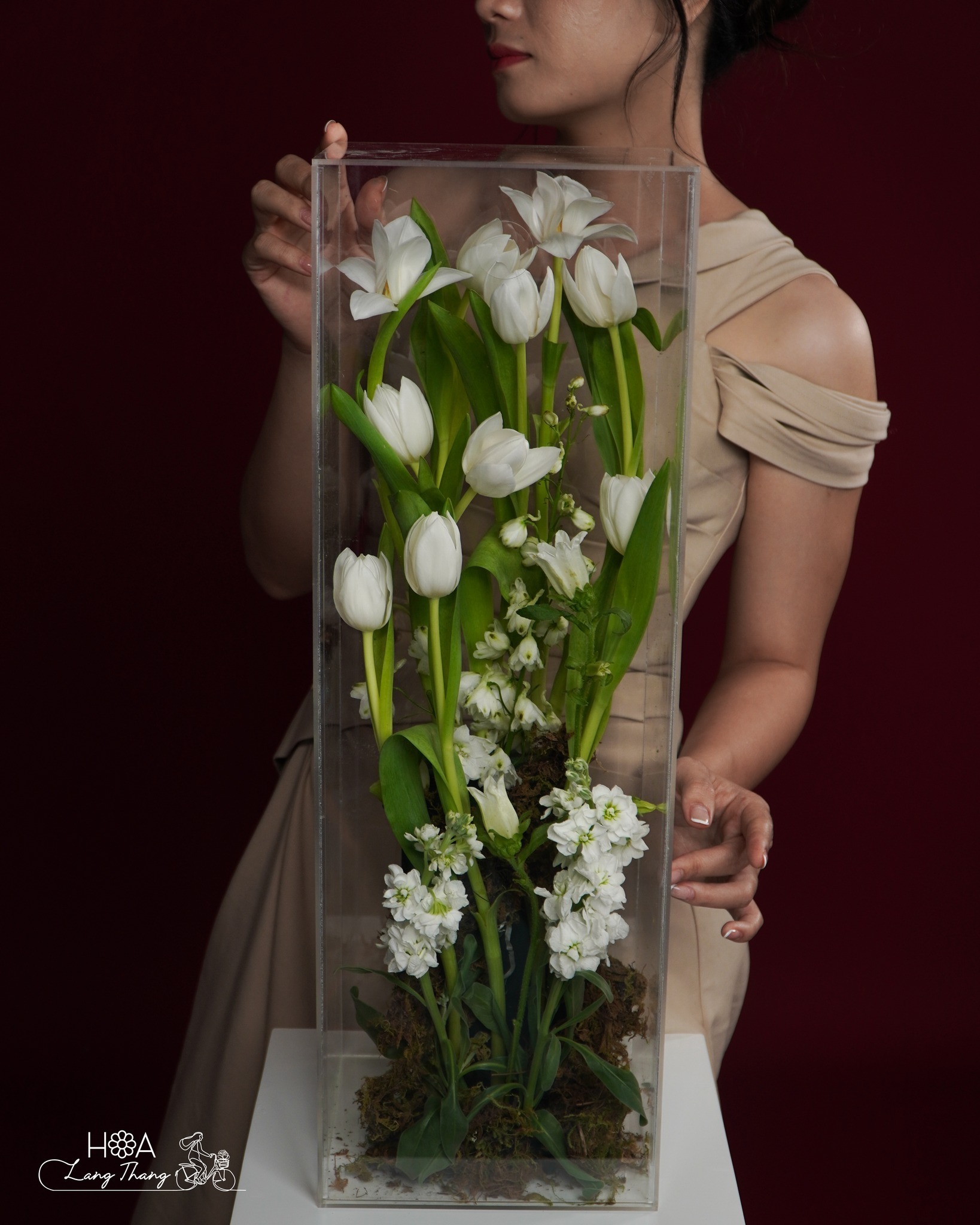 Éclat Blanc - Đặt Hoa Tulip Giao Nhanh 2h Hà Nội — Hoa Nhập Khẩu Hà Lan Tại Hoa Lang Thang | Hoa Lang Thang