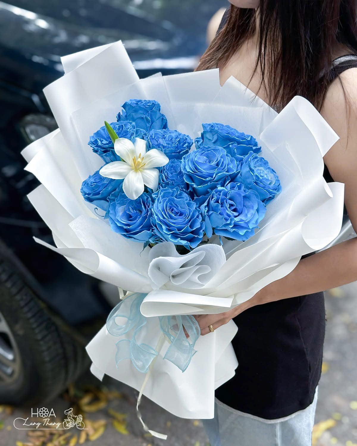 Azure Celeste - Hoa Hồng Ecuador Và Hoa Hồng Đà Lạt Khác Gì? So Sánh Chi Tiết Từ Chuyên Gia | Hoa Lang Thang