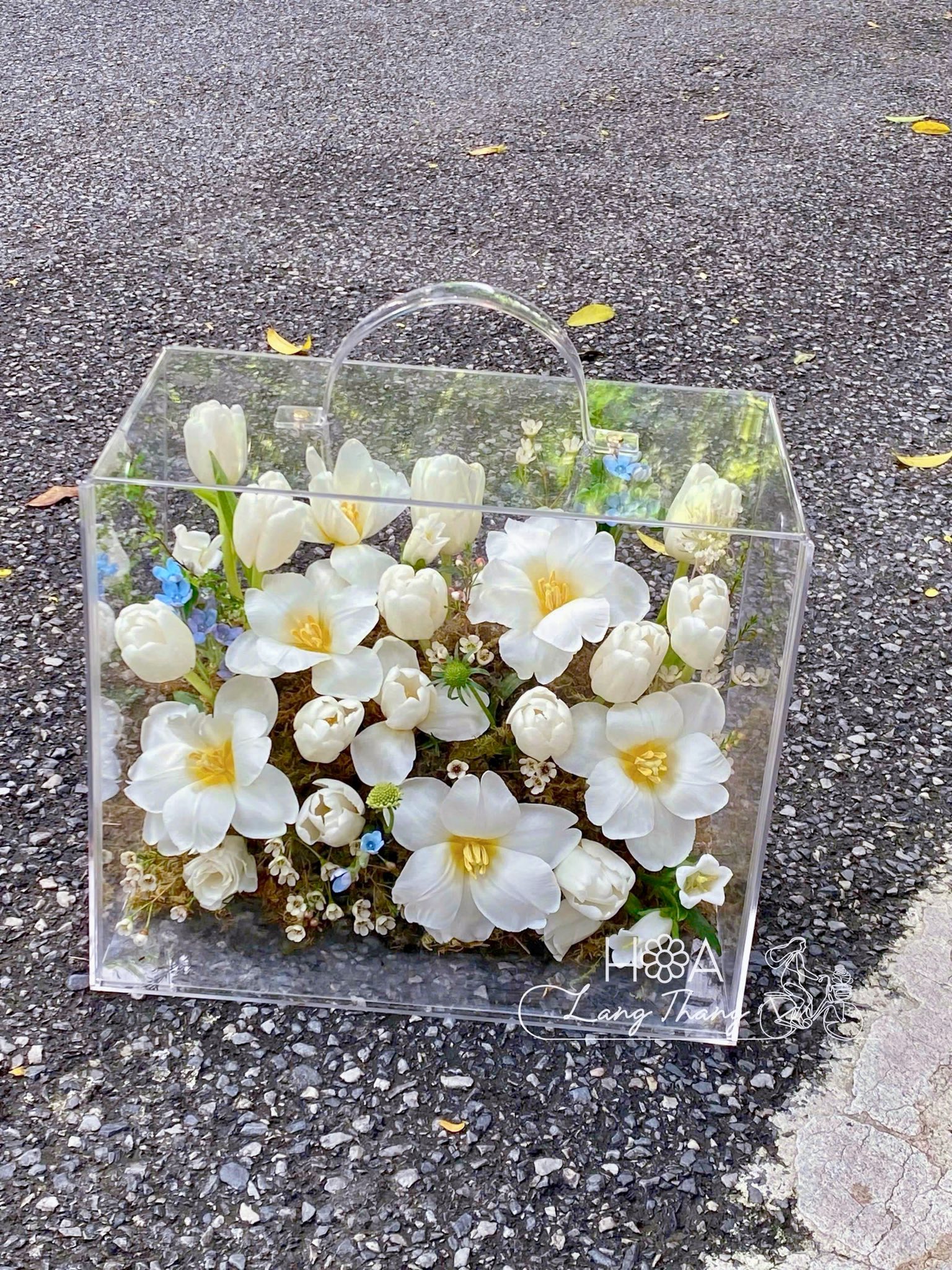Alba Bloom Box - Bó Hoa Mao Lương Nhập Khẩu Cao Cấp — Vẻ Đẹp Nhiều Tầng Lớp Giữa Lòng Hà Nội | Hoa Lang Thang