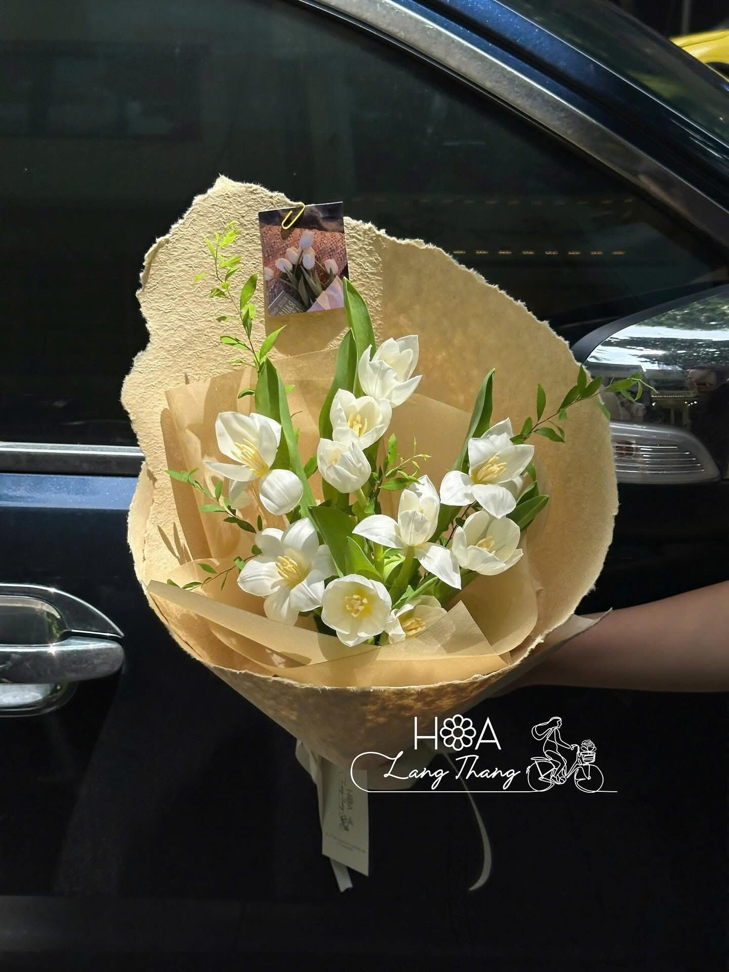 Alba Tulip — Hoa Lang Thang